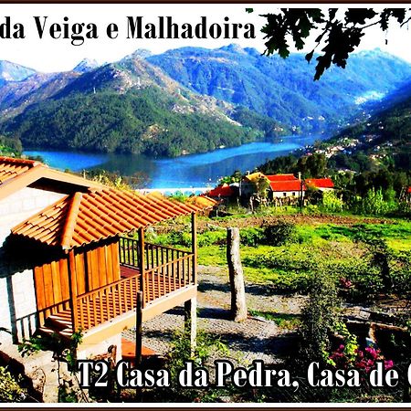Quinta Da Veiga E Malhadoira Pensionat Vieira do Minho Eksteriør billede