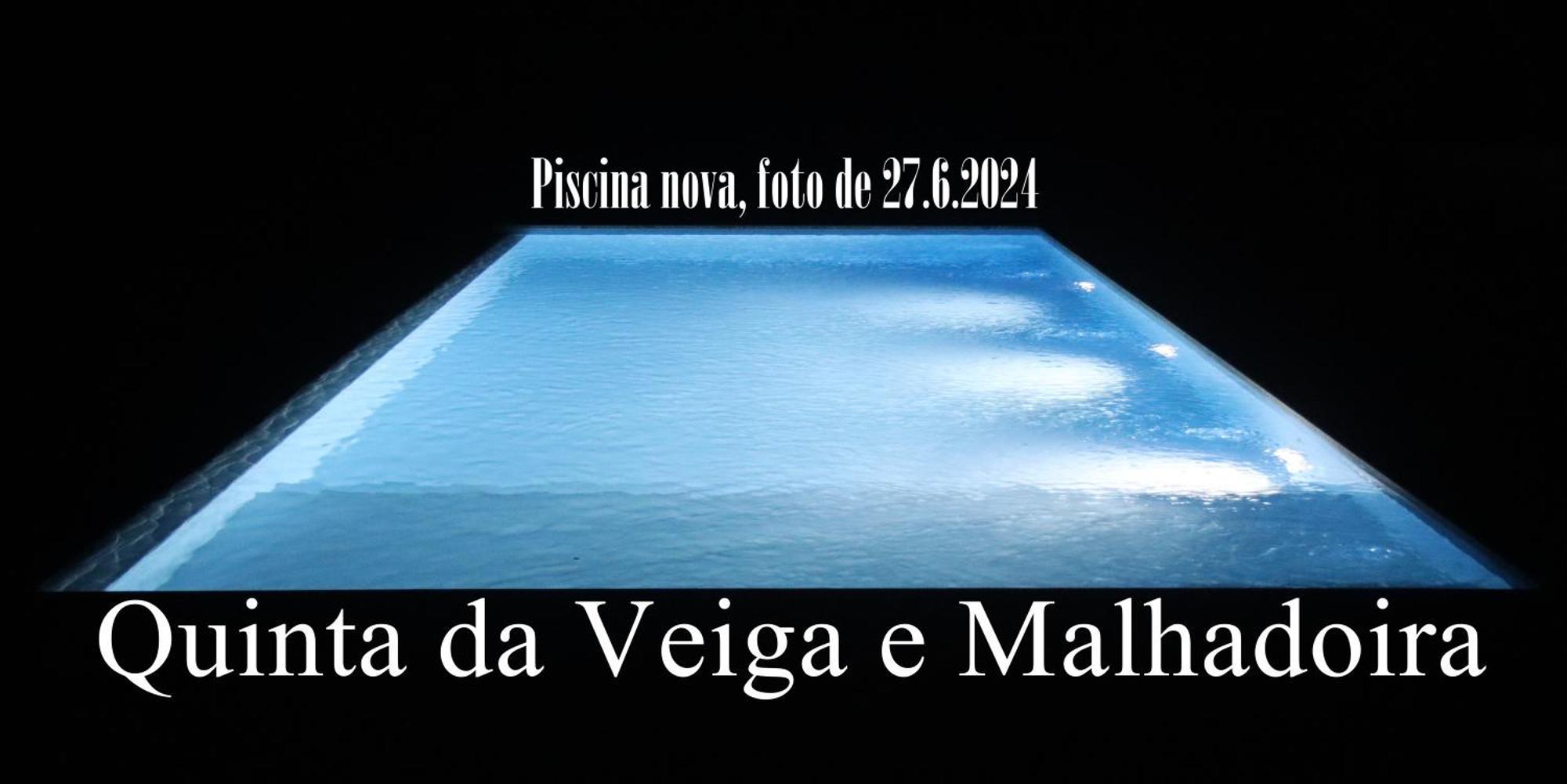 Quinta Da Veiga E Malhadoira Pensionat Vieira do Minho Eksteriør billede