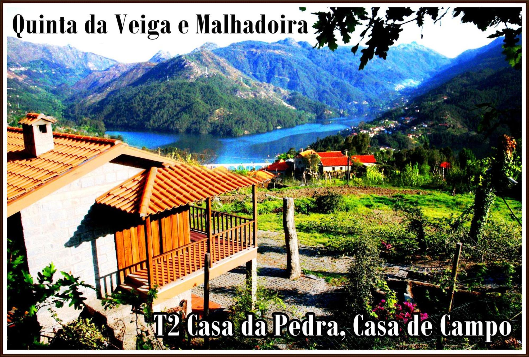 Quinta Da Veiga E Malhadoira Pensionat Vieira do Minho Eksteriør billede